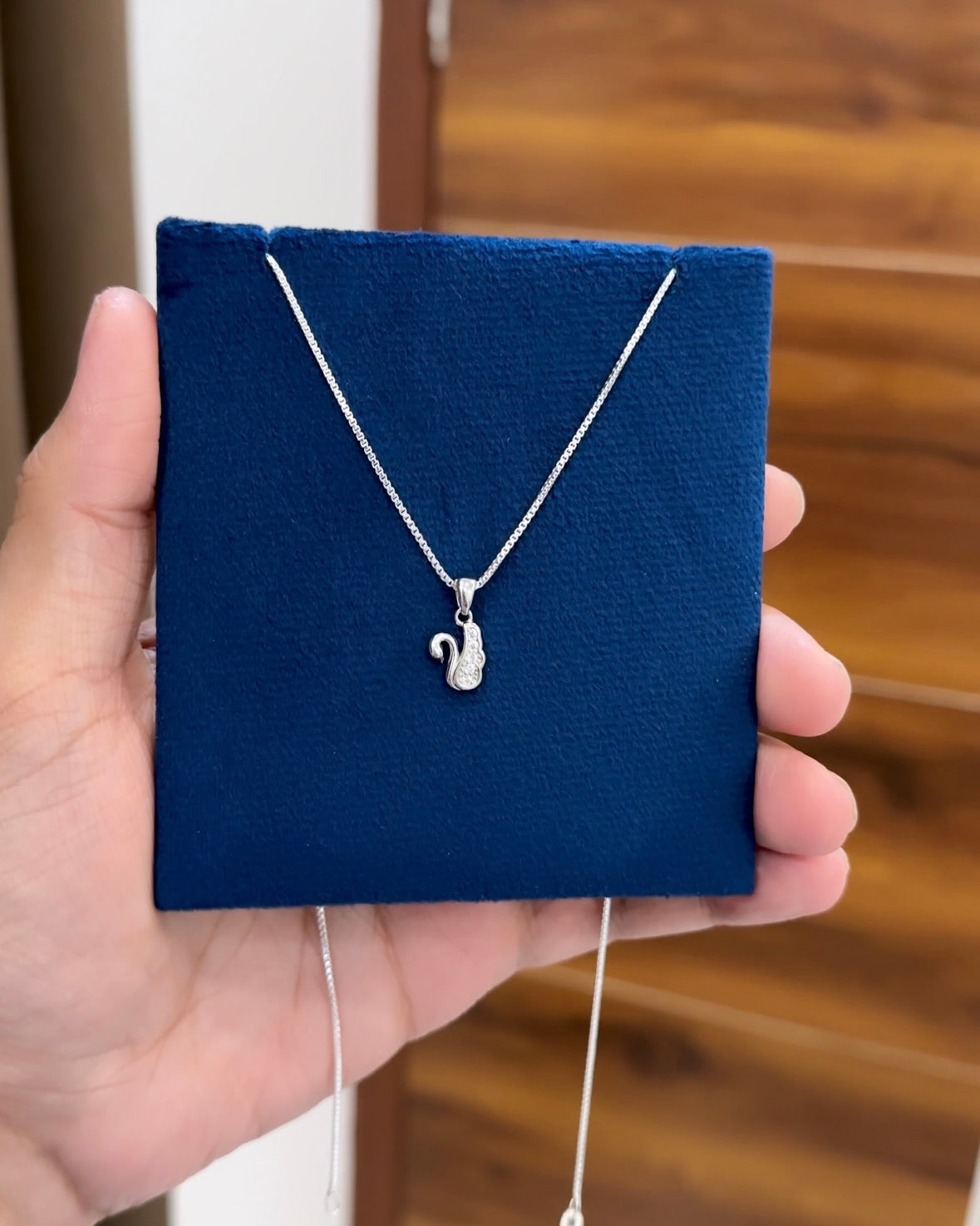 Minimal Pendant + Chain