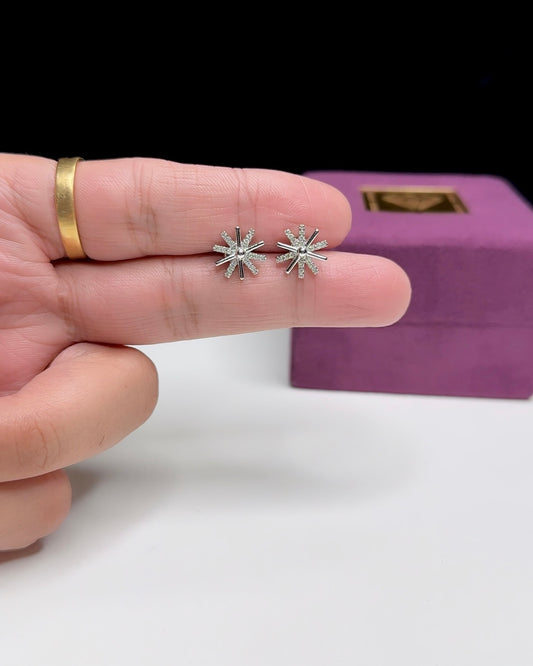 Silver Earrings